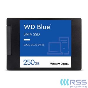 Western Digital Blue SSD 250GB