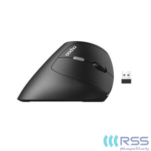 Rapoo Mouse EV250 Wireless Mouse